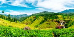 Srilanka