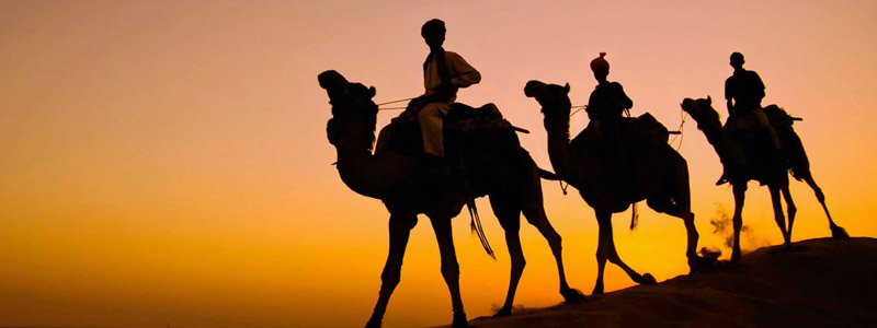 rajasthan