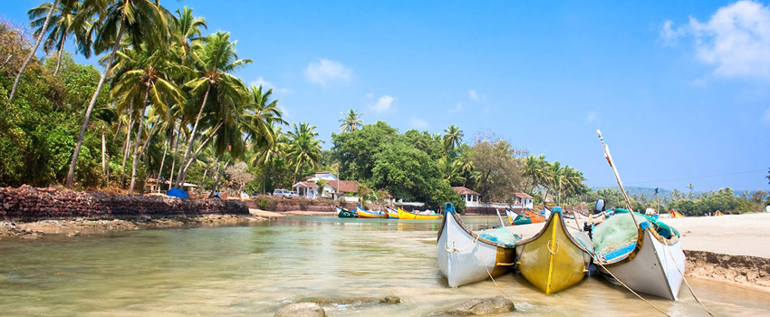 tarkarli